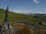 Merkestein på fjellet